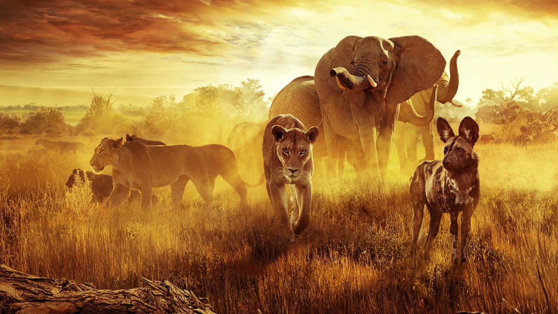 Supraviețuire în paradis: Moștenire de familie