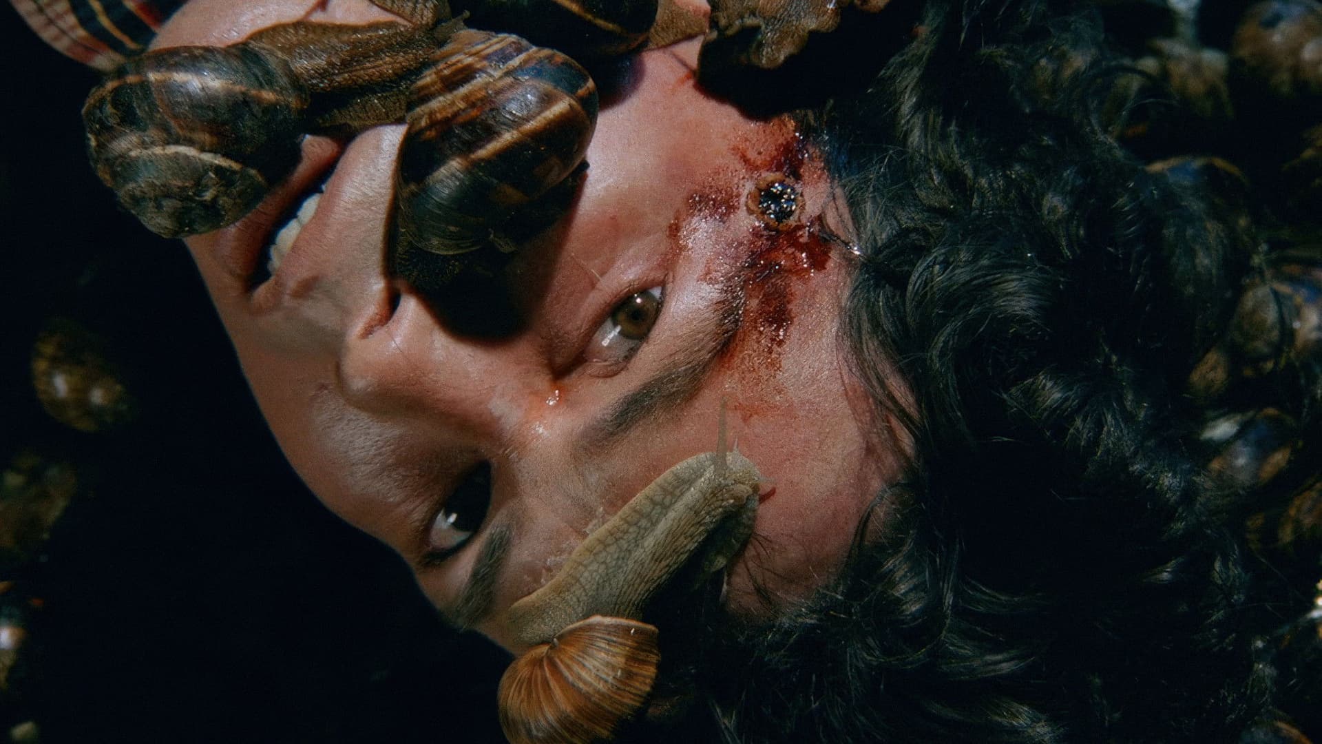 Un escargot dans la tête