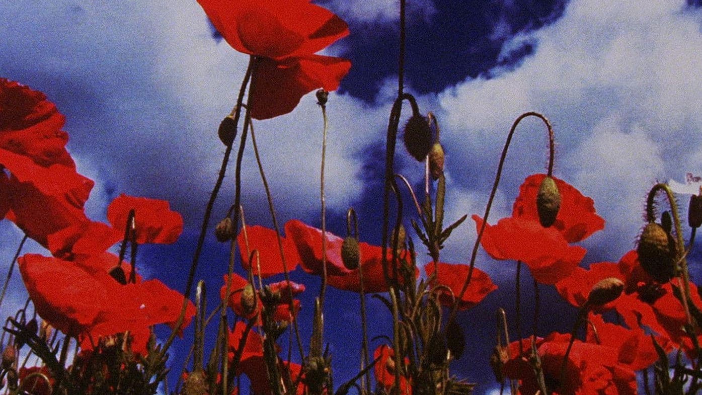 Wasteland No. 1: Ardent Verdant