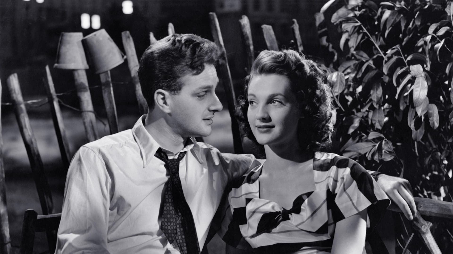 Paşaport către Pimlico