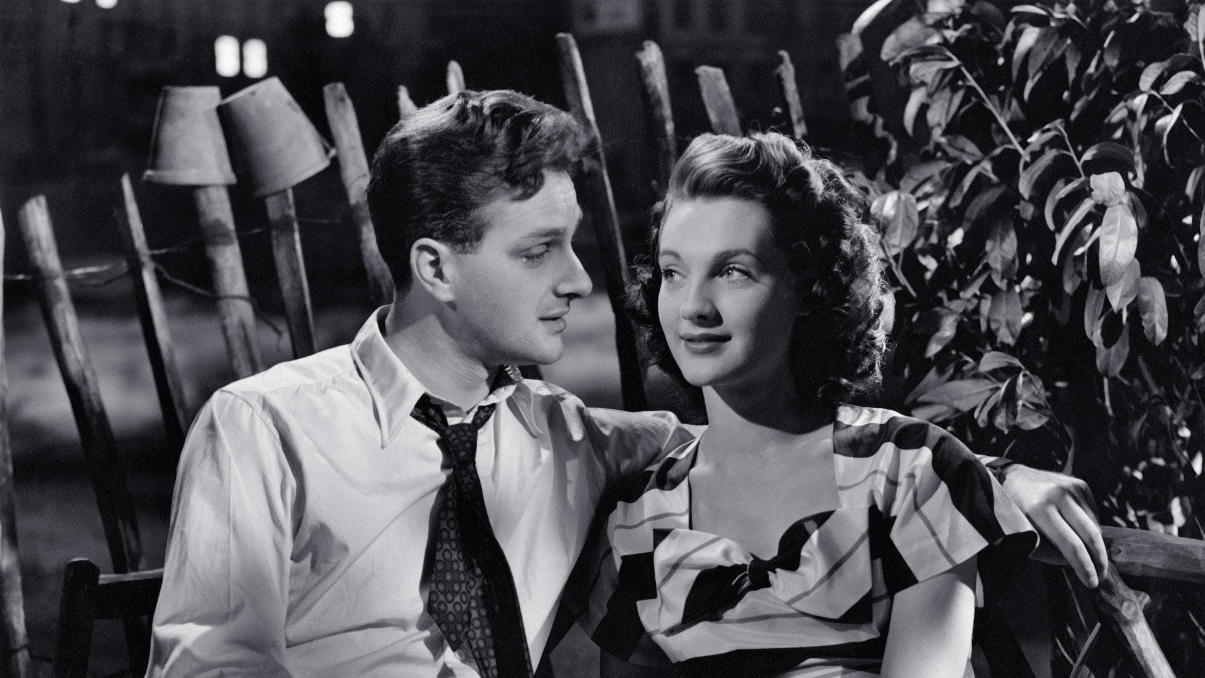 Paşaport către Pimlico