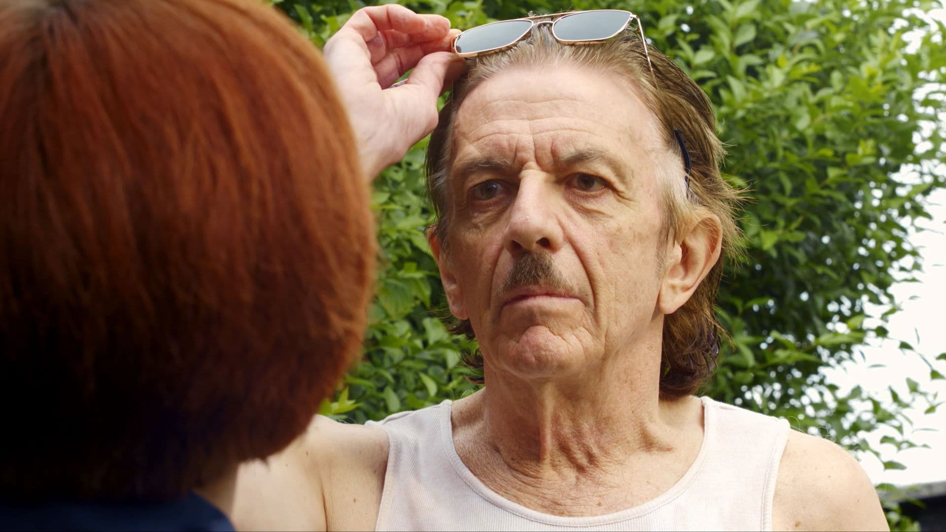 Der Griller von Wien