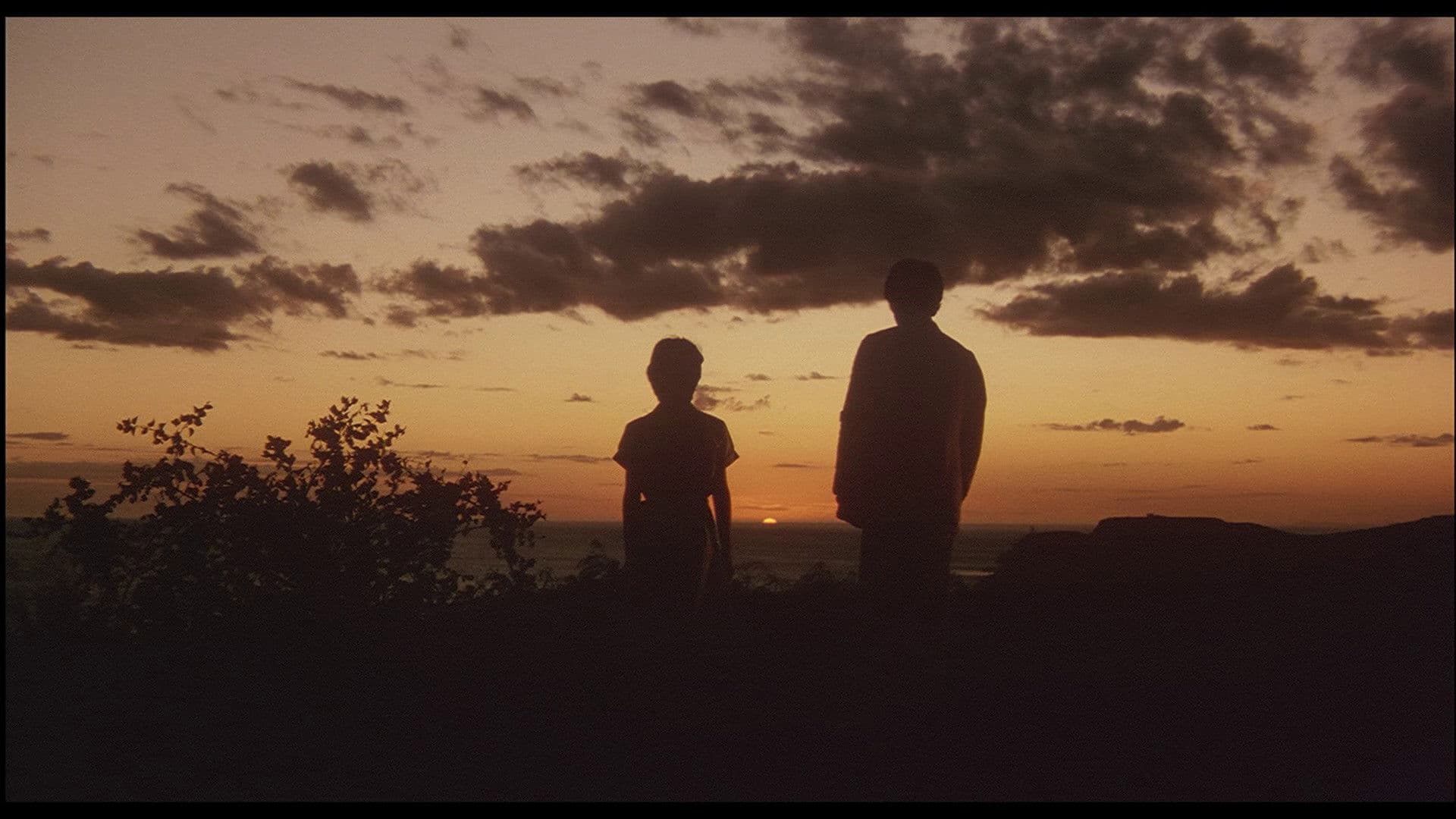 天国にいちばん近い島