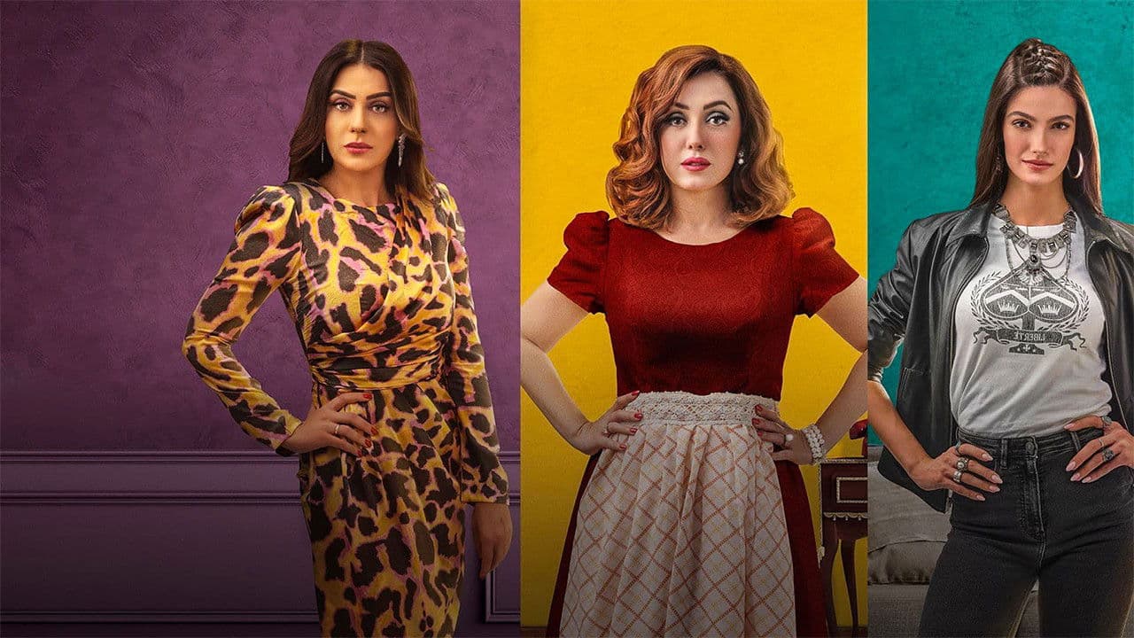 ستات بيت المعادي