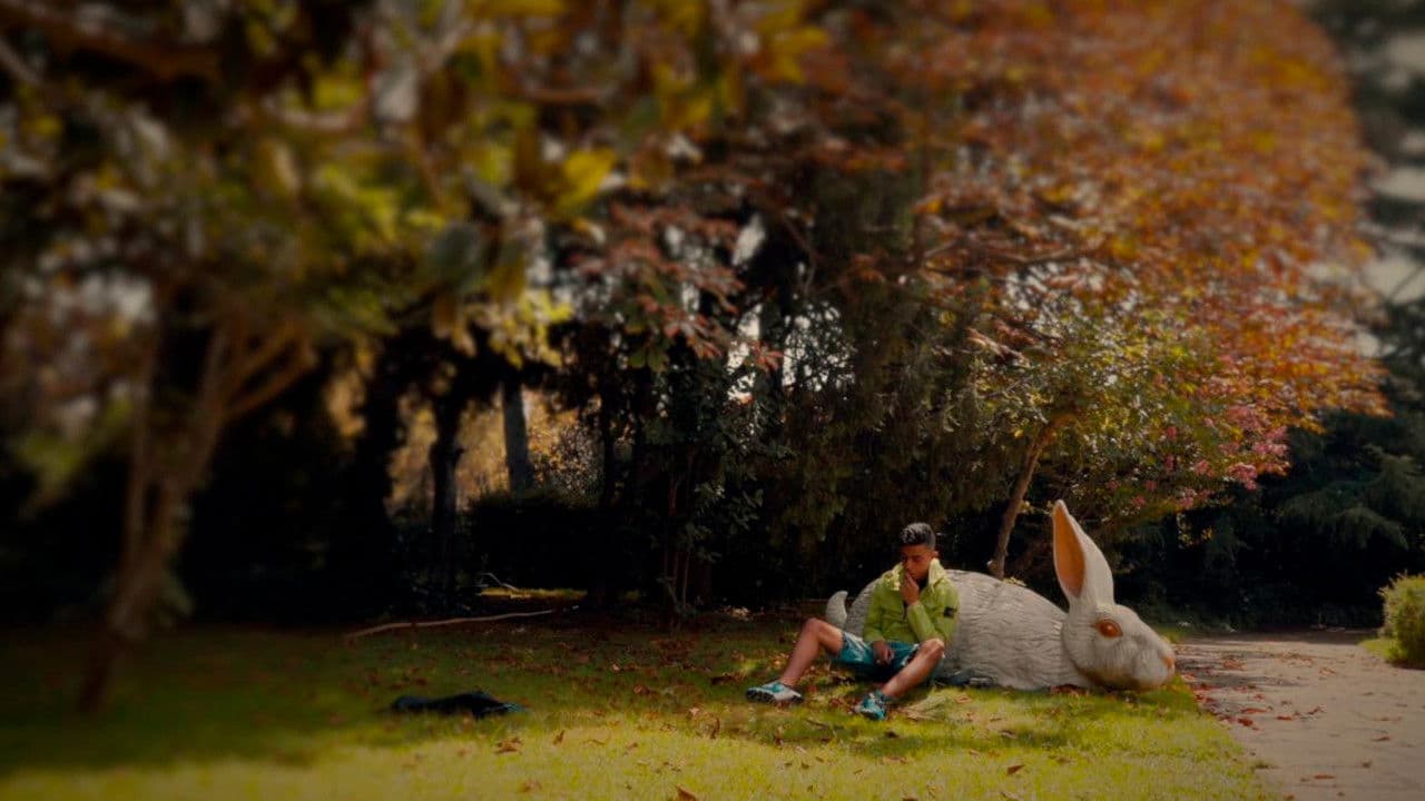 Monte Tropic, una historia del confinamiento