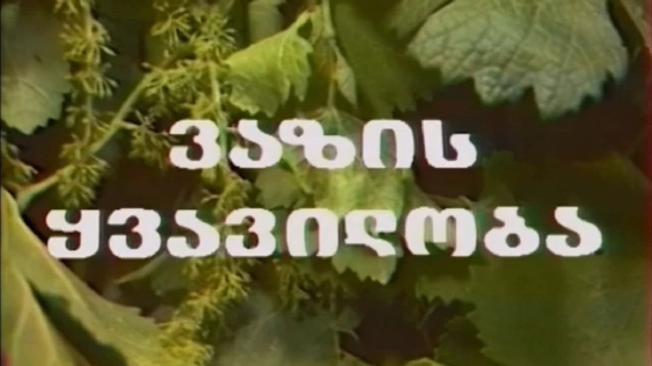 ვაზის ყვავილობა