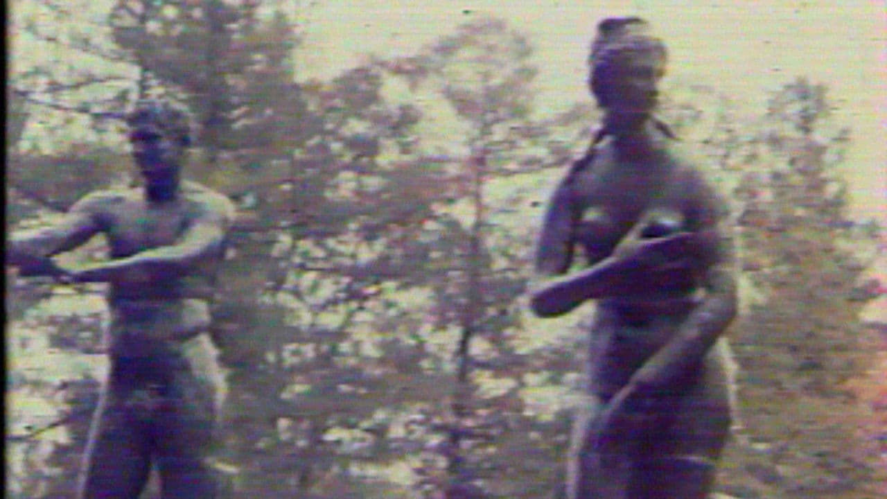 Метаморфоза