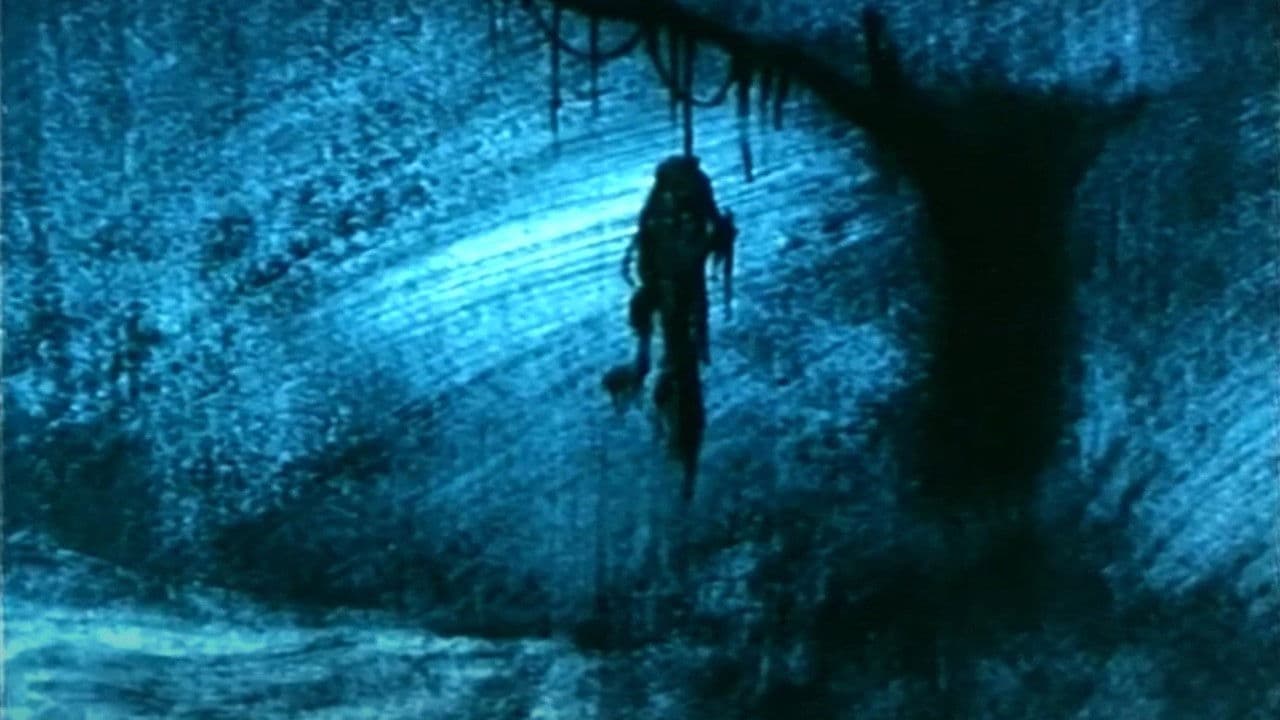 I videl sem daljine meglene i kalne...