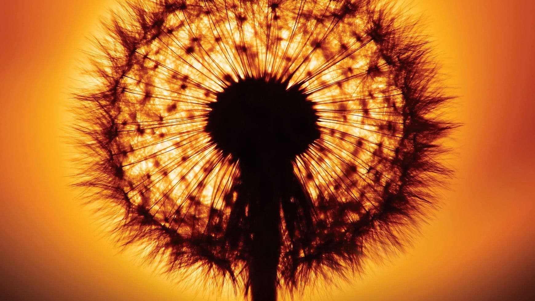 Am Anfang war das Licht