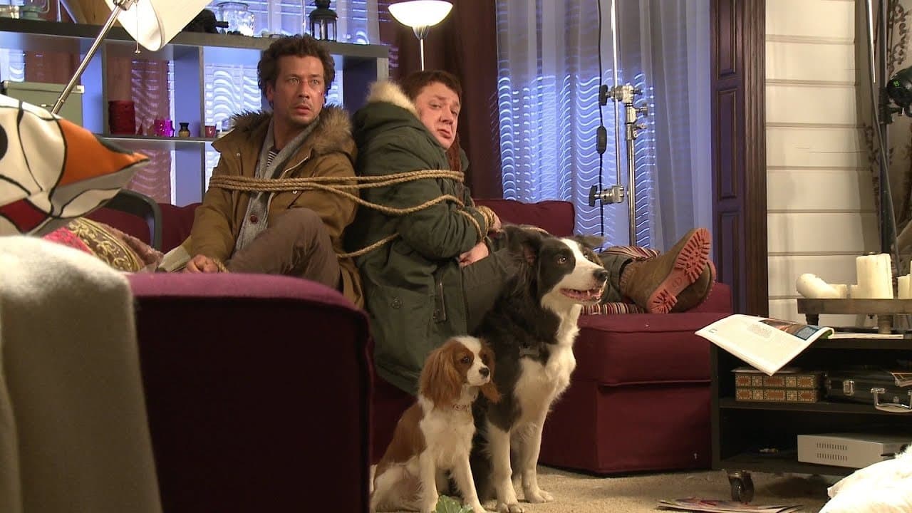 Ёлки лохматые