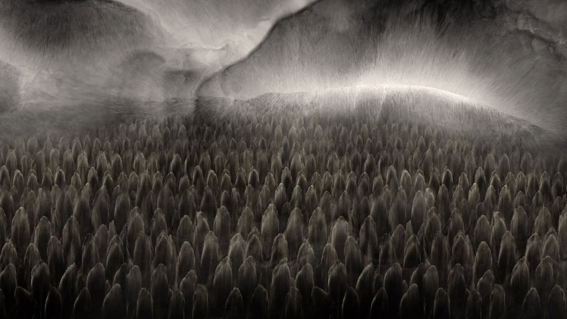 Обезличаване