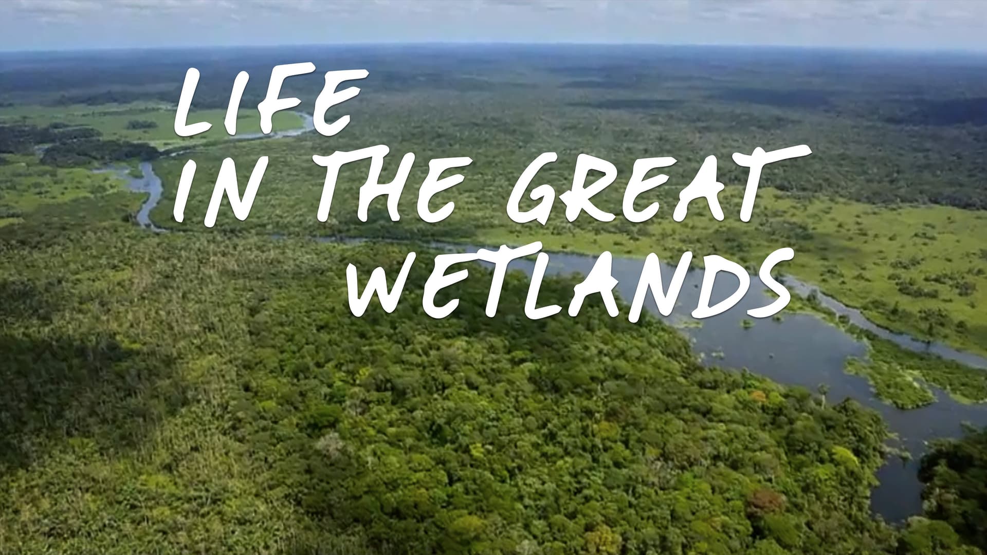 Mondes inondés, Les