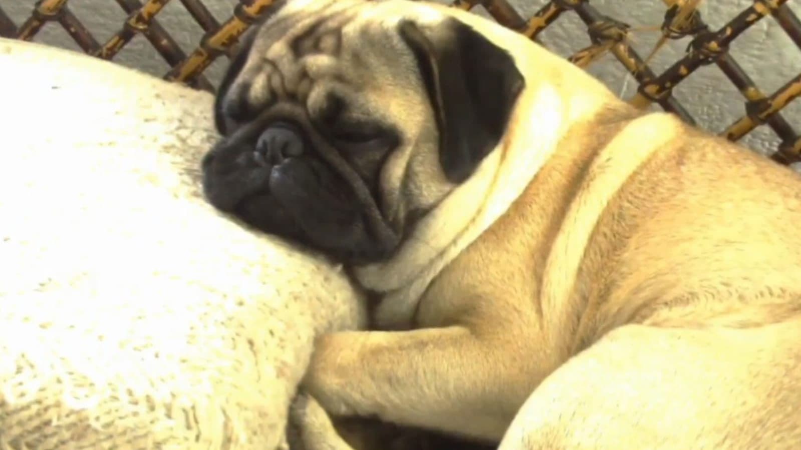 El infierno en el cielo