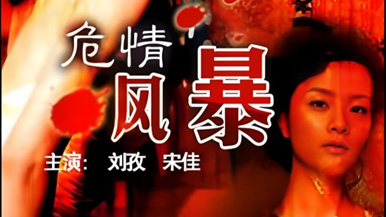 危情风暴