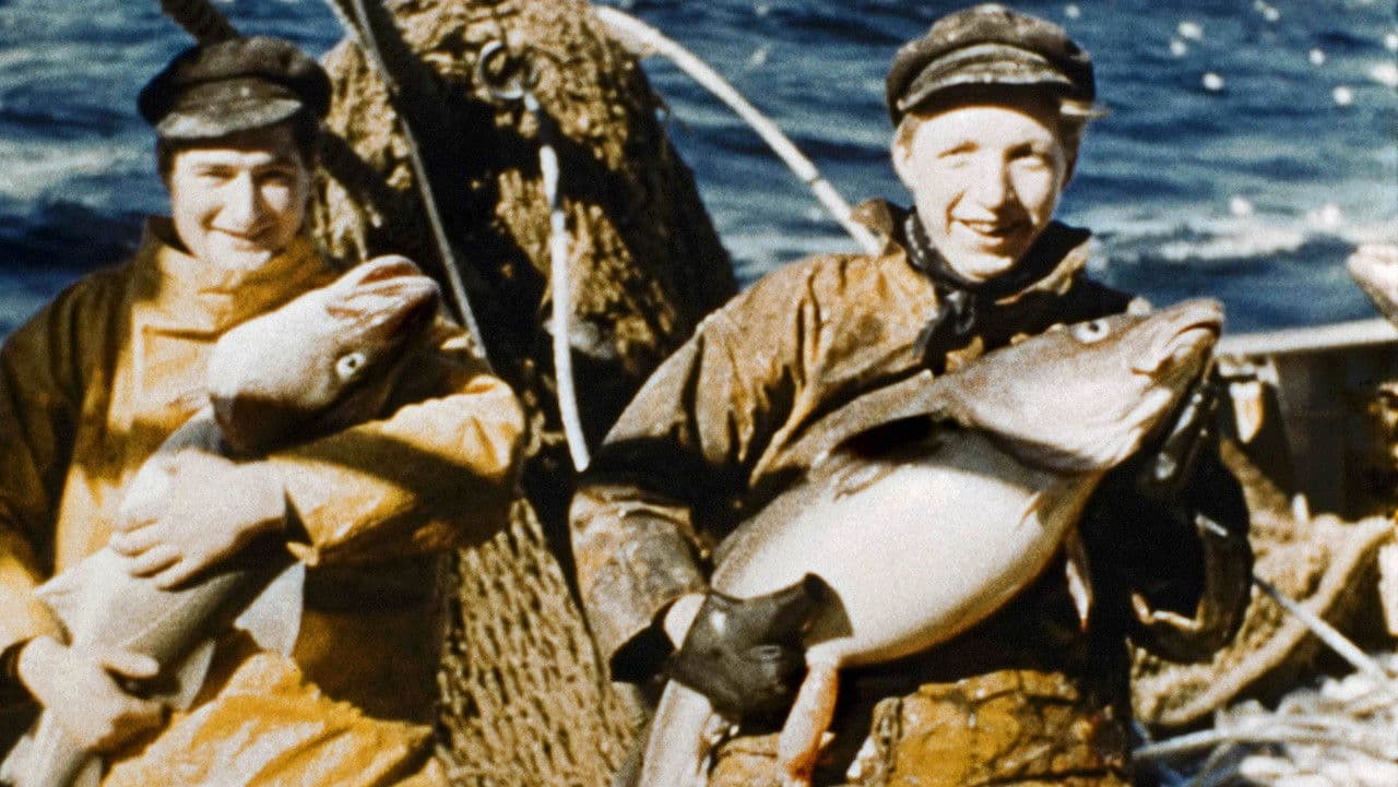 Voyage de documentation de Madame Anita Conti