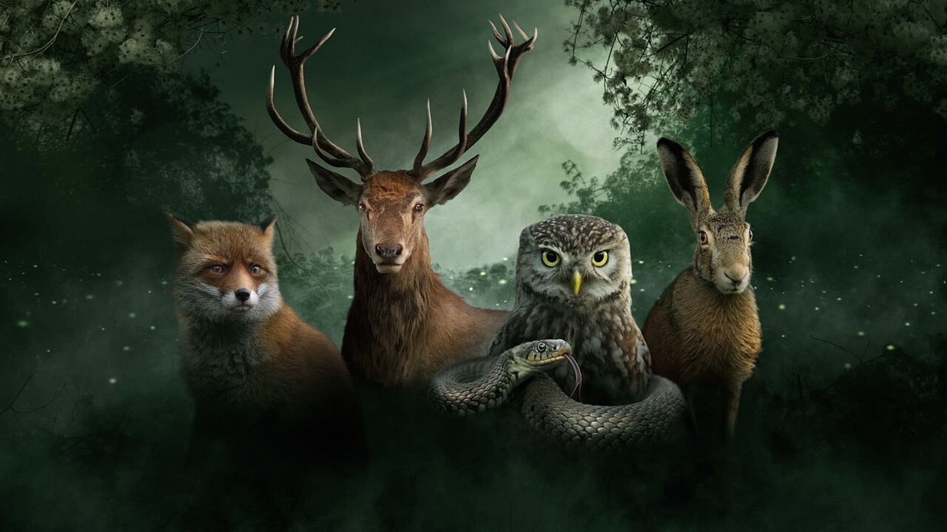 Onze Natuur, De Film