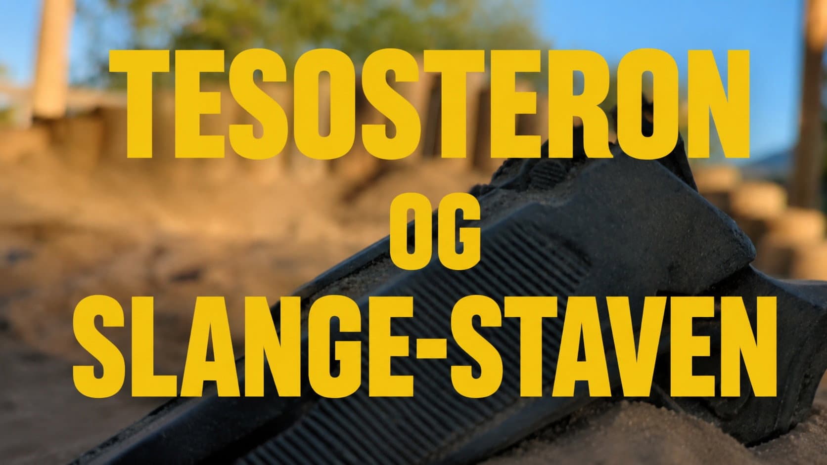 TESTOSTERON OG SLANGE-STAVEN