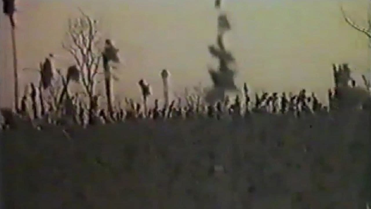 Ангел жатвы