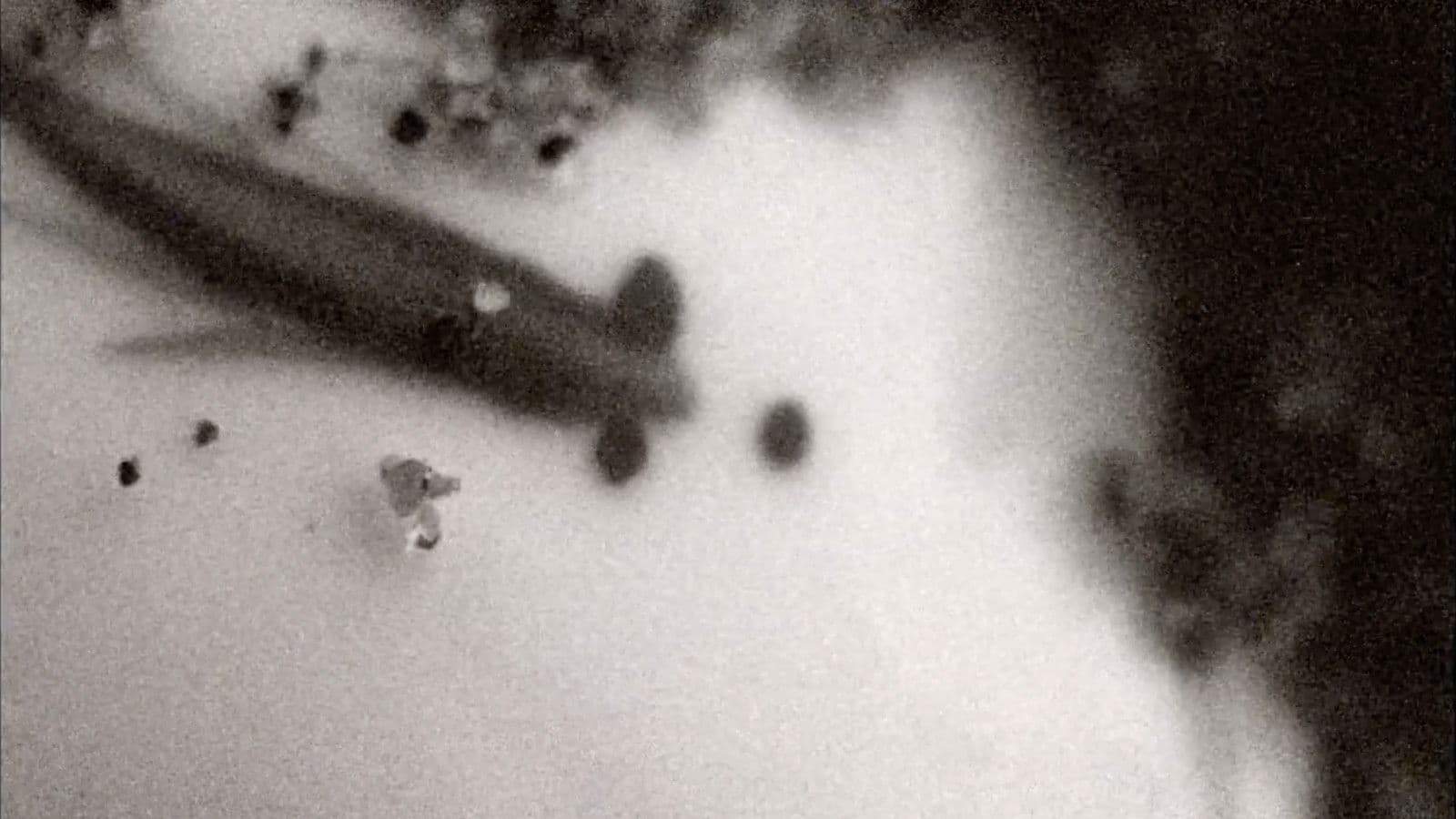 撿起放下墜落提起