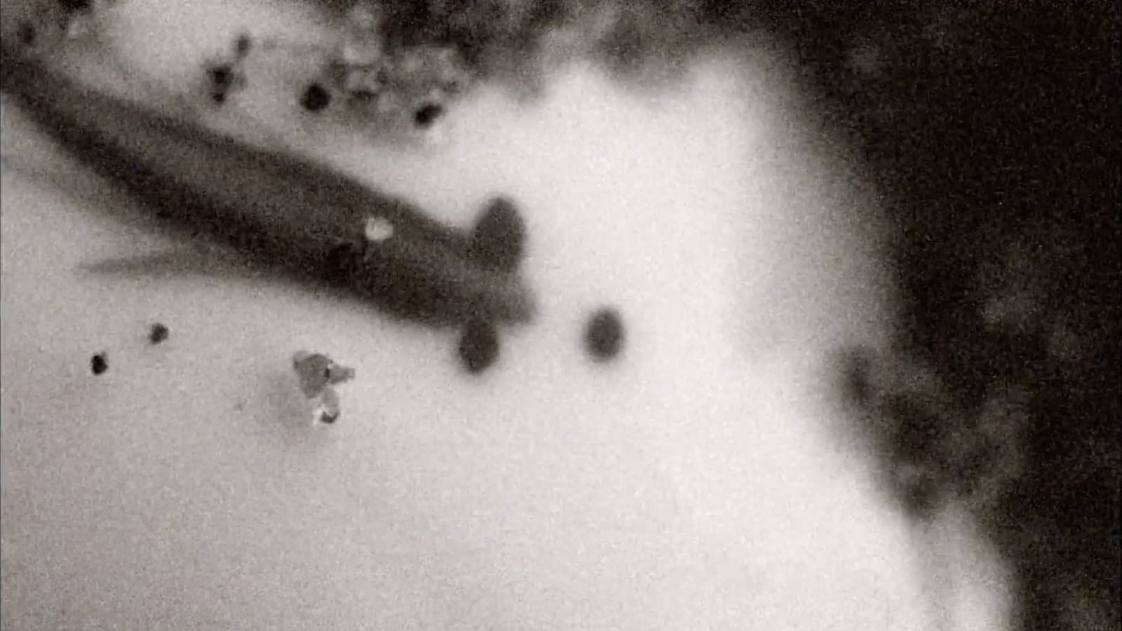 撿起放下墜落提起