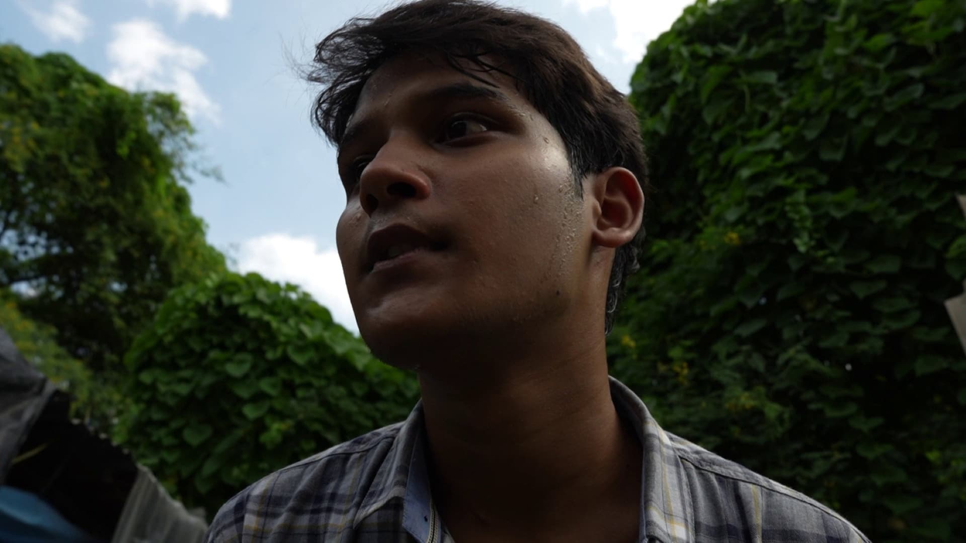 JUNGLE