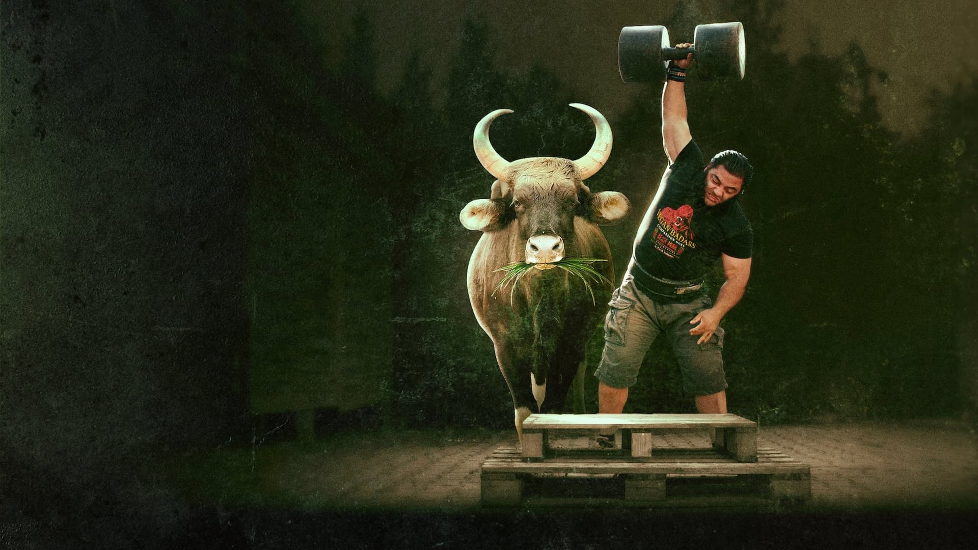 Cei care au revoluționat jocul