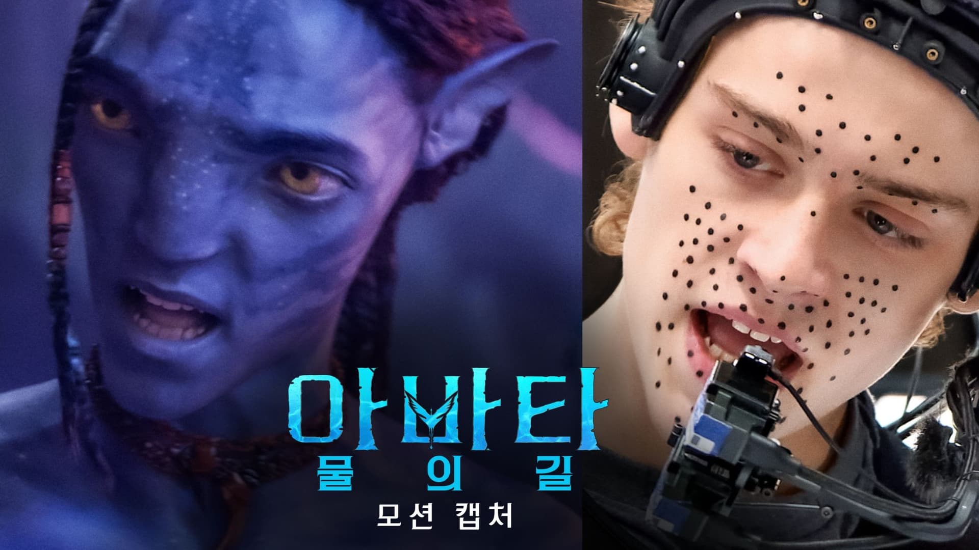 Inside Pandora's Box: Capturing Pandora