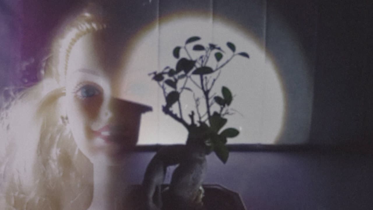 Bonsai Security (Dollyanna's Dream)
