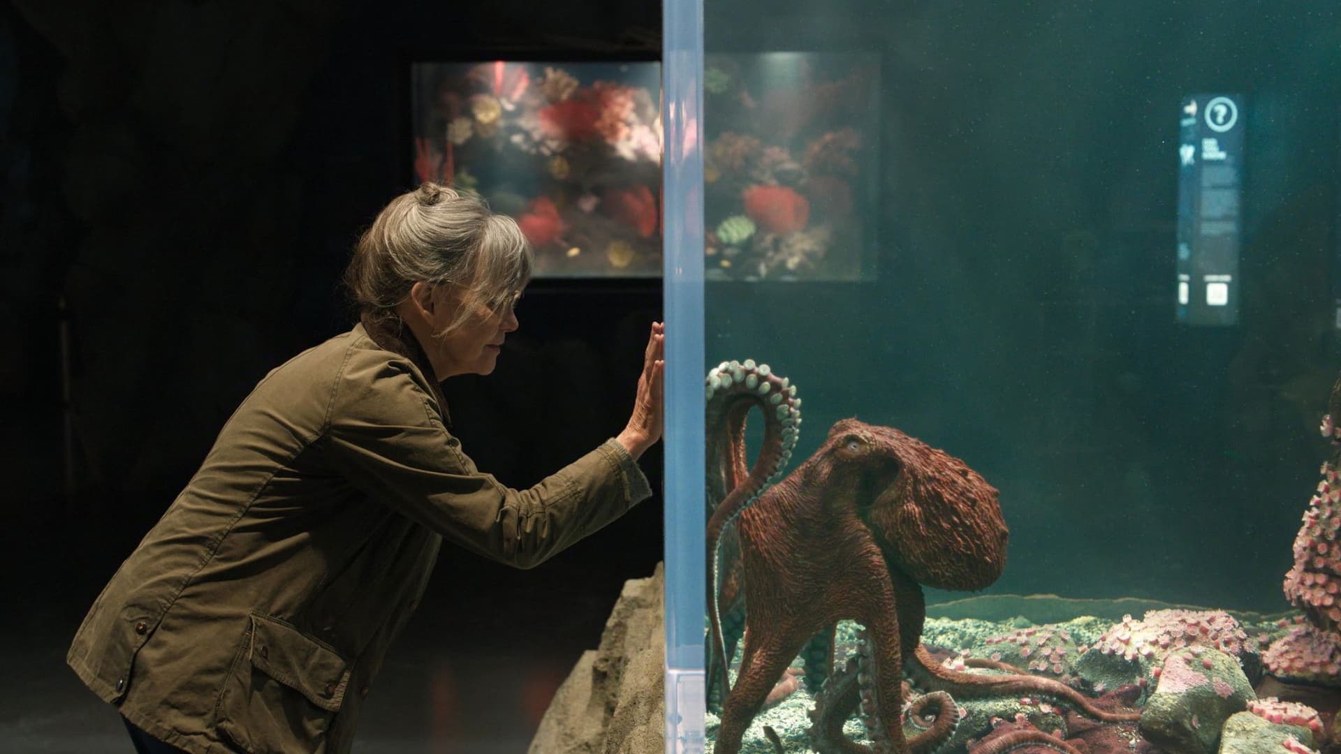 Remarkably Bright Creatures