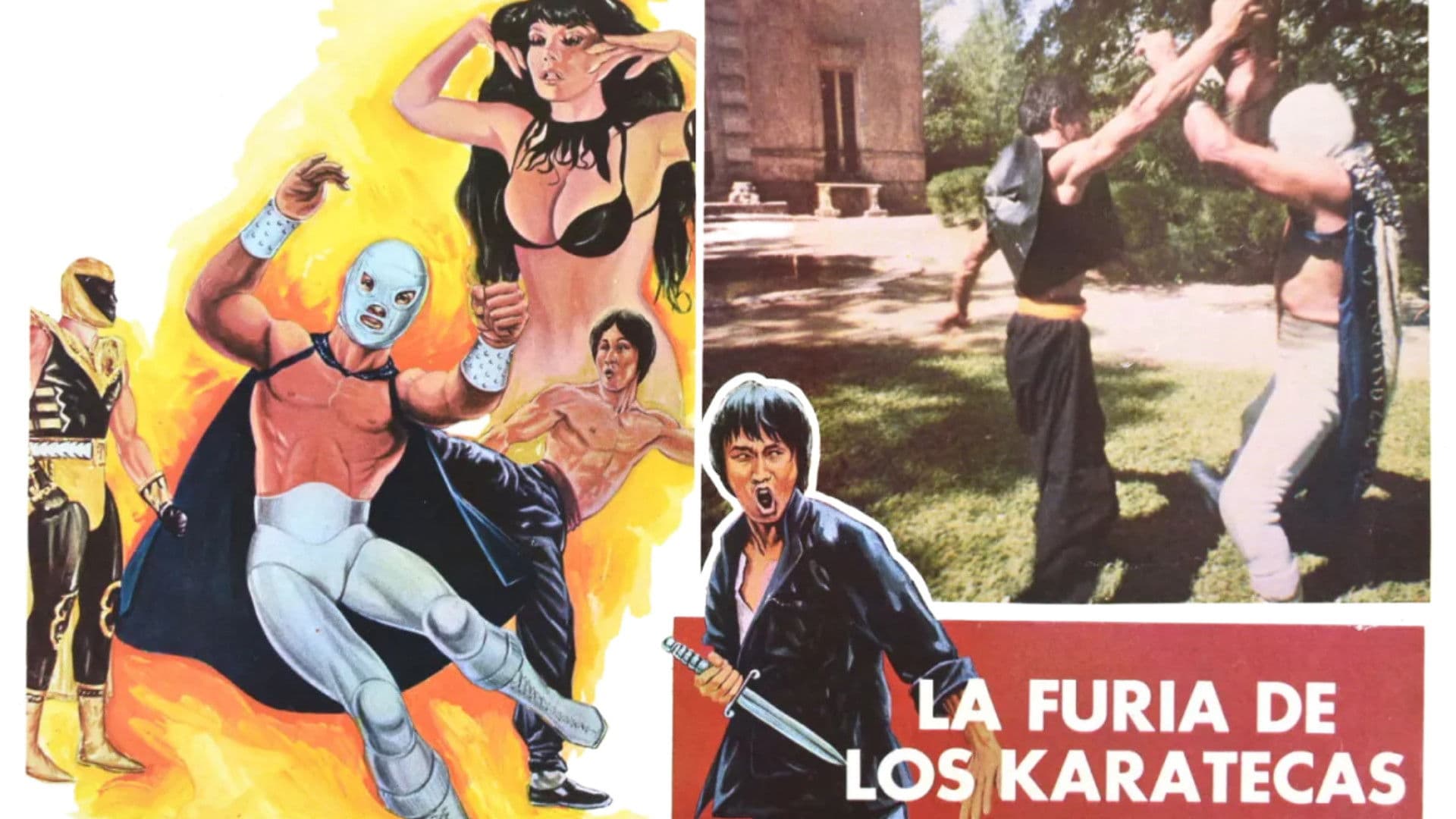 La furia de los karatecas