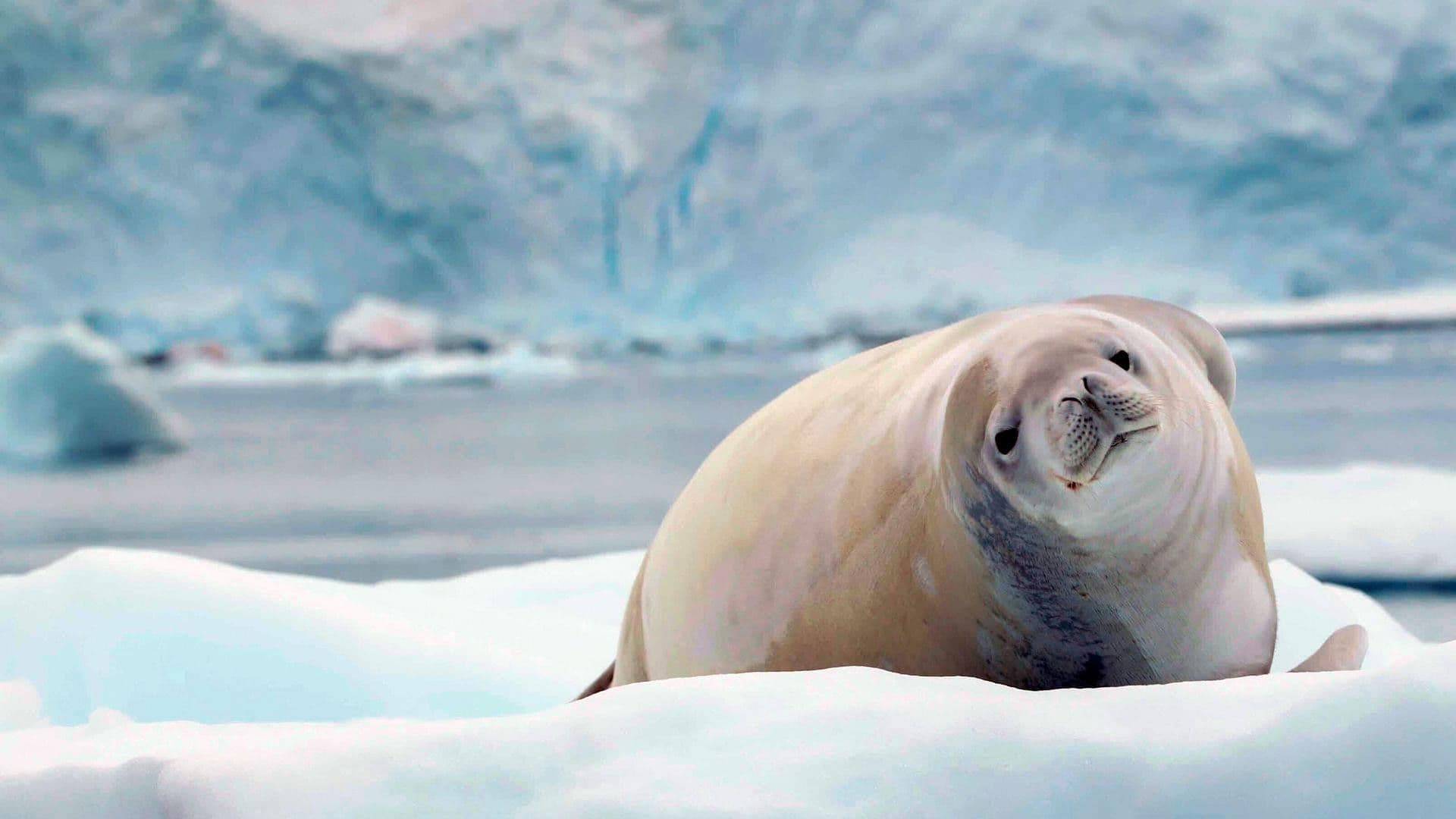Antártica: En Búsqueda de la Adaptación