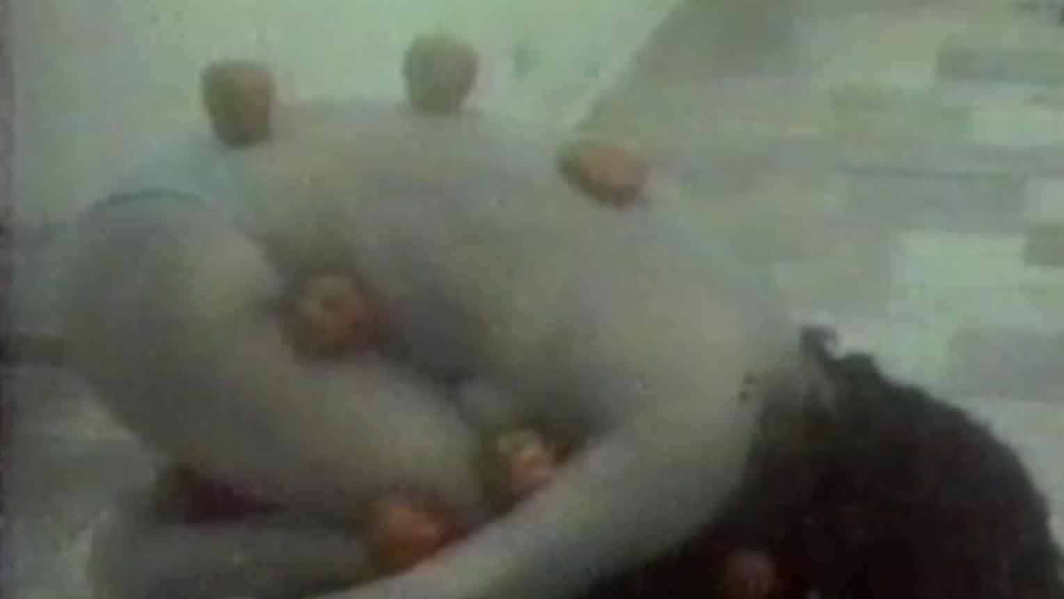 Espírito desencarnado