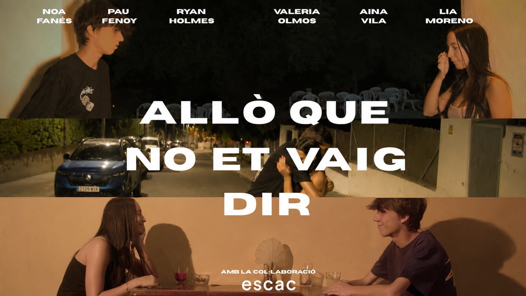Allò que no et vaig dir