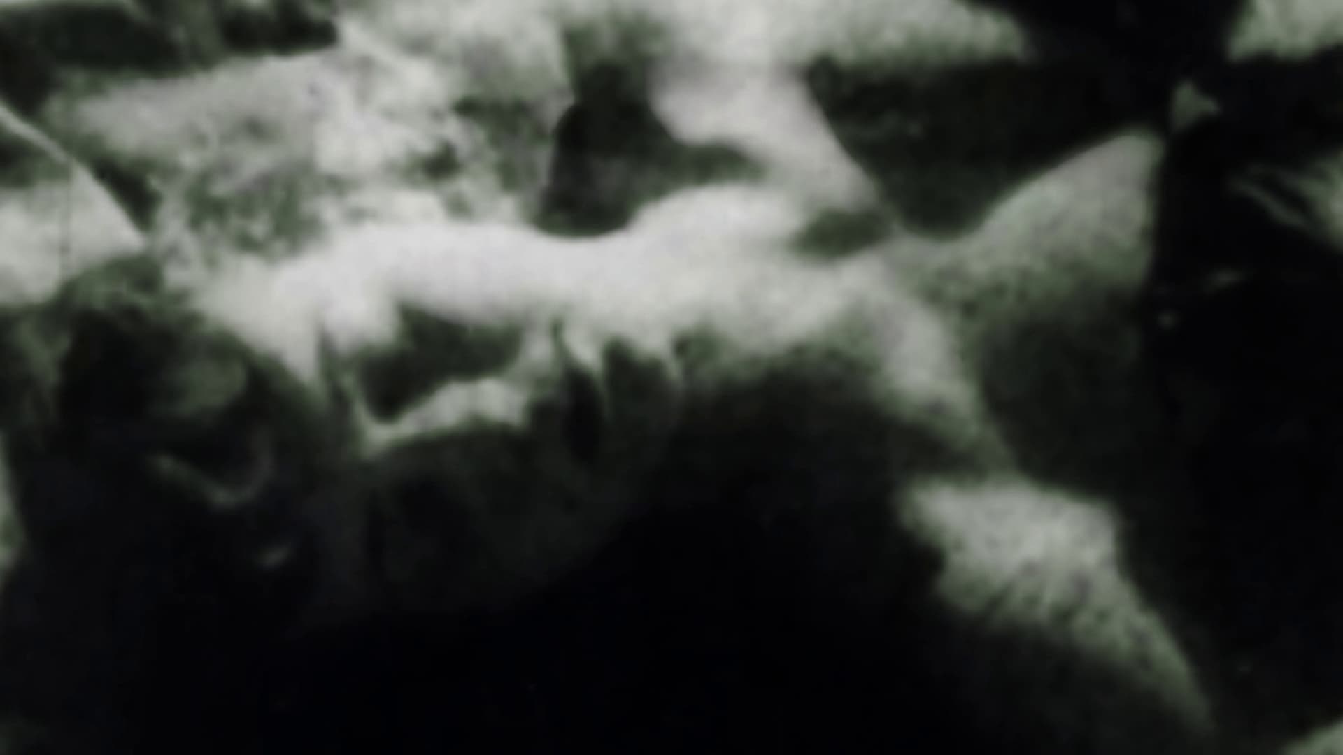 A szemünkön át vagyunk mi