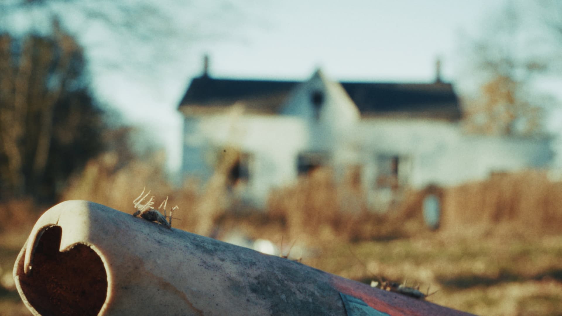 Back to the Old House