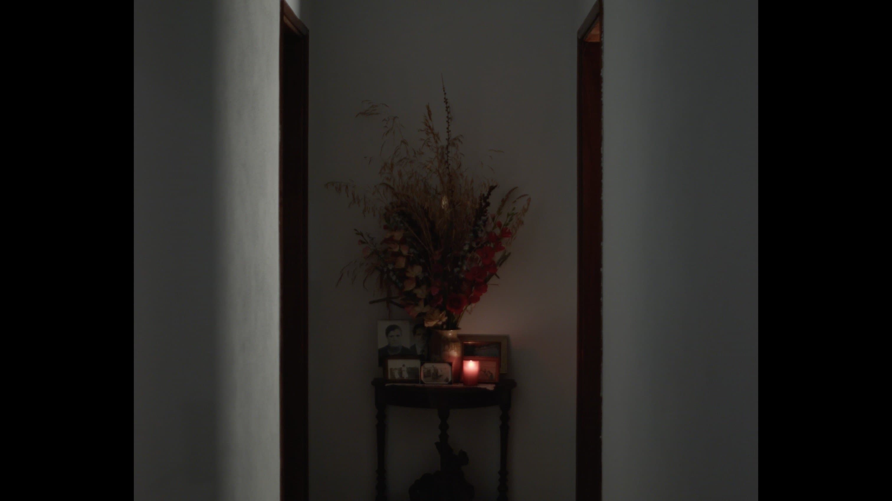 Não Sei O Que Fazer Com As Mãos