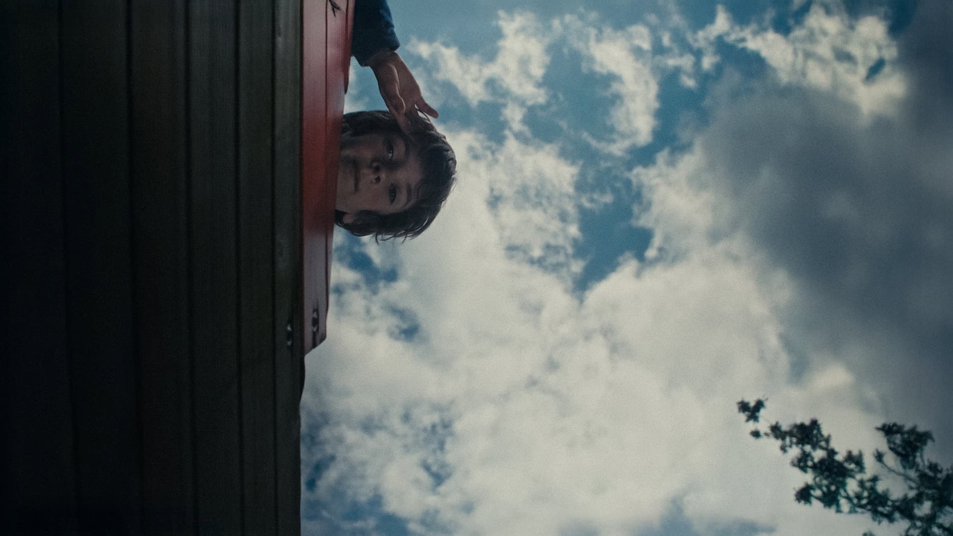 Poulet s'est enfui !