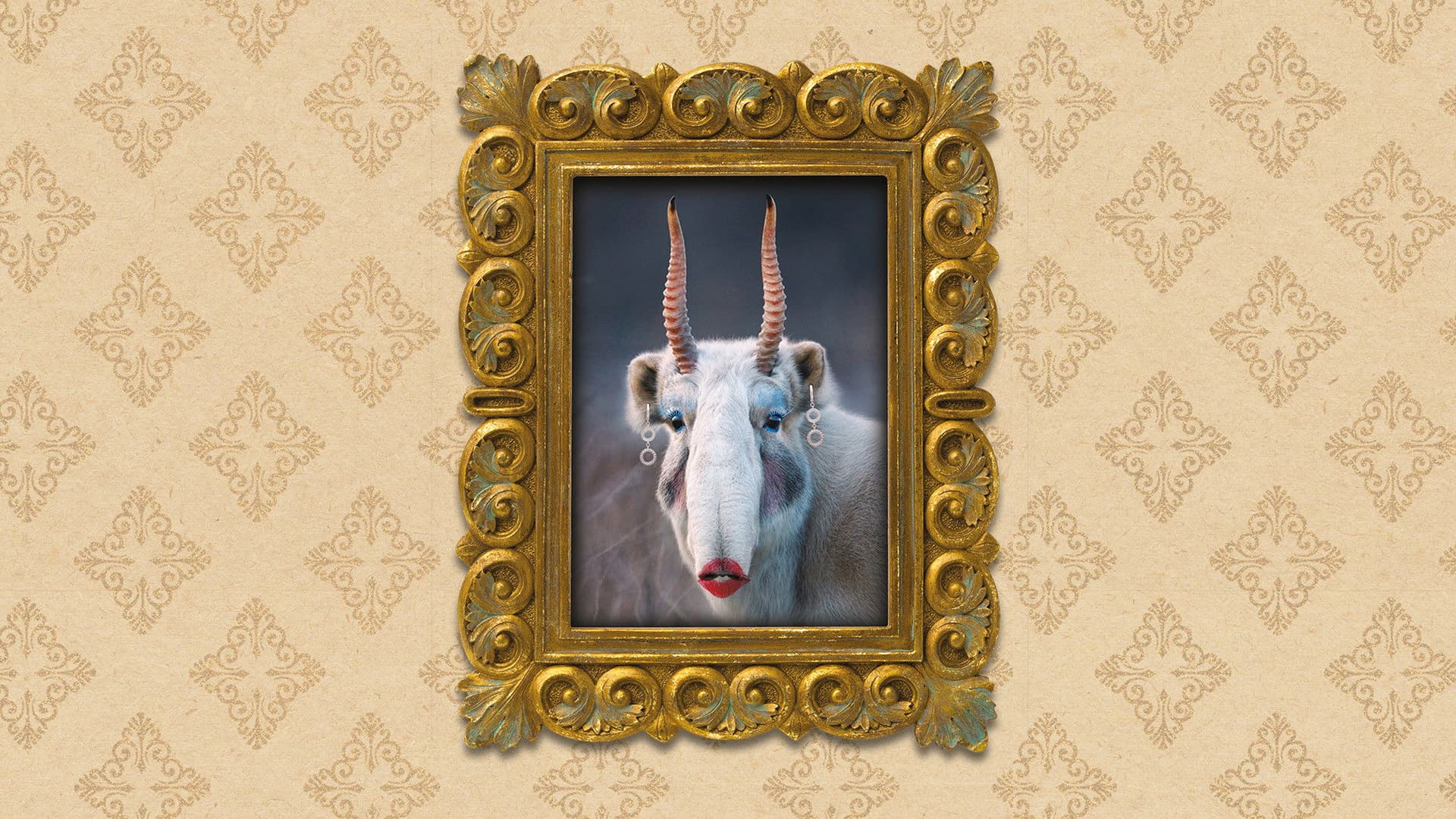 Frumuseţea discretă a urâţilor