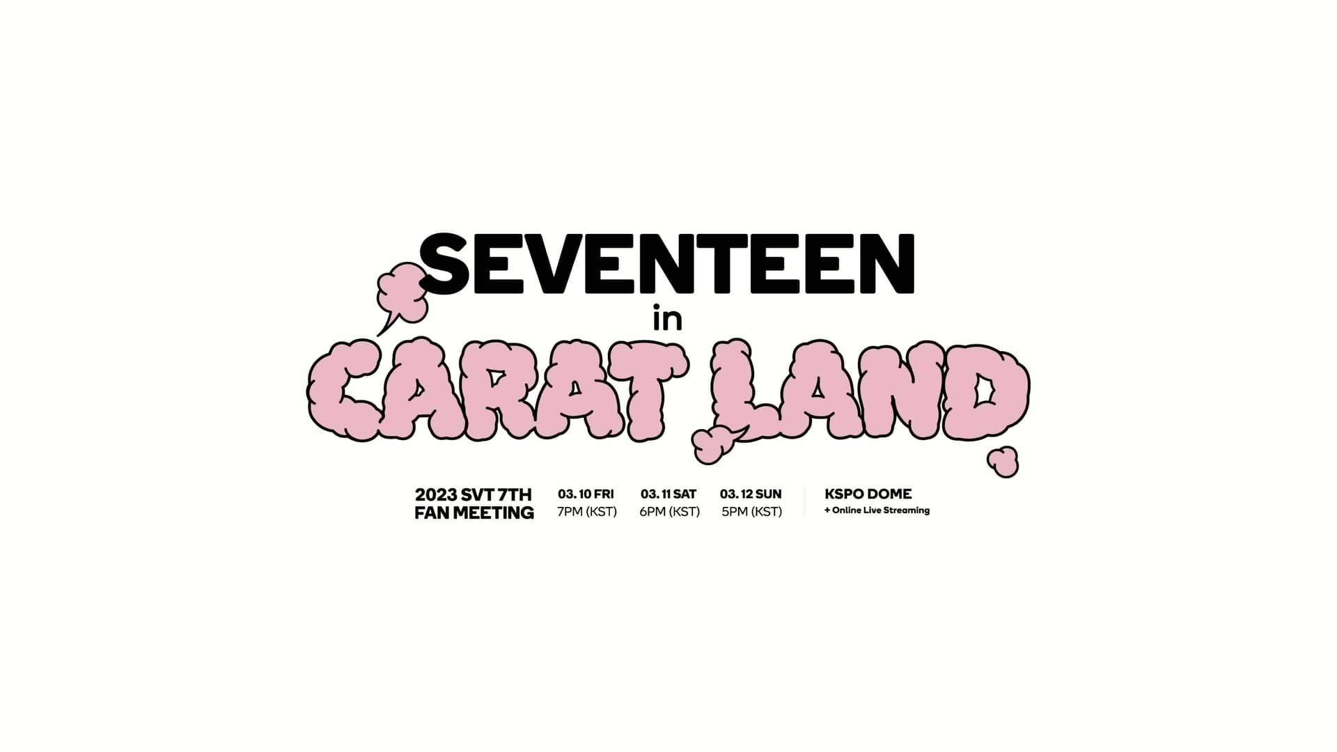 SEVENTEEN in CARAT LAND