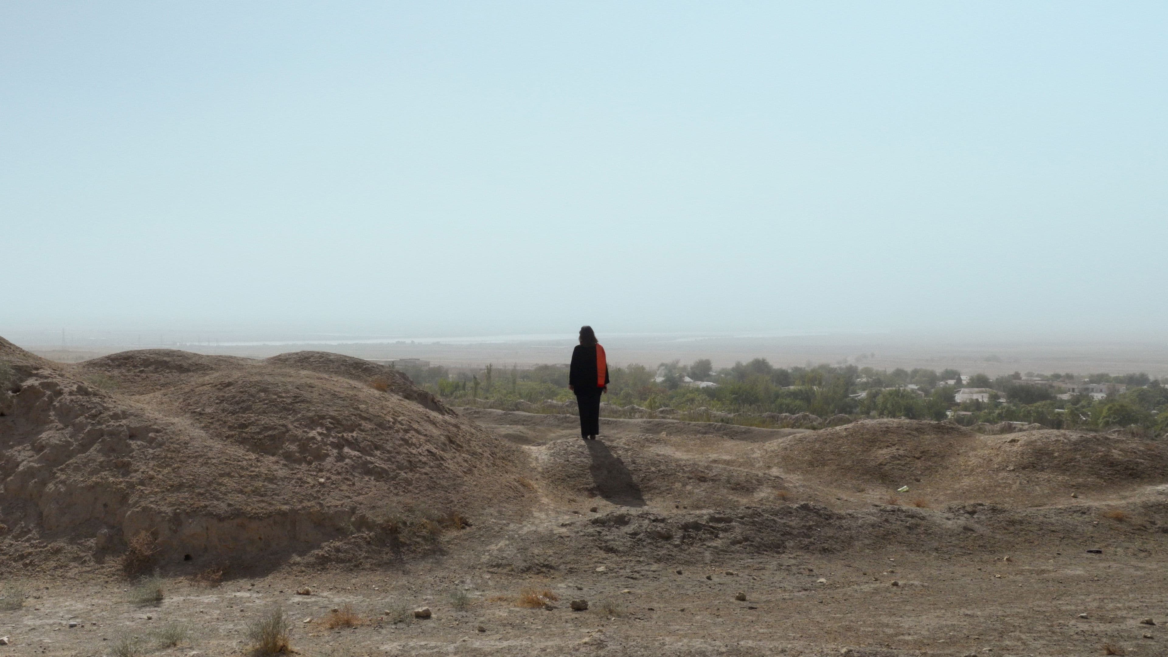 Die Letzte Botschafterin