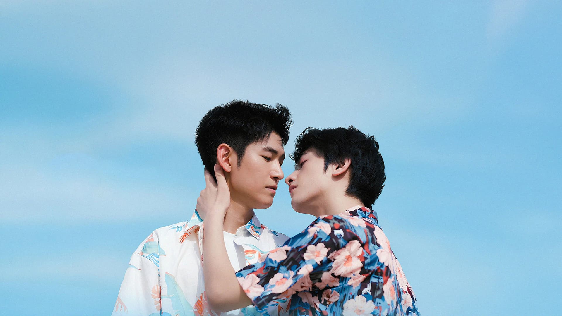 你是我目光里的星