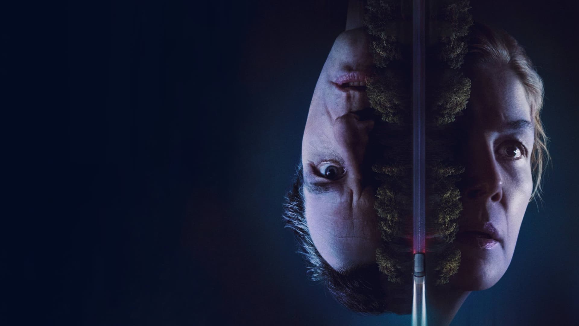 Cursă contra cronometru