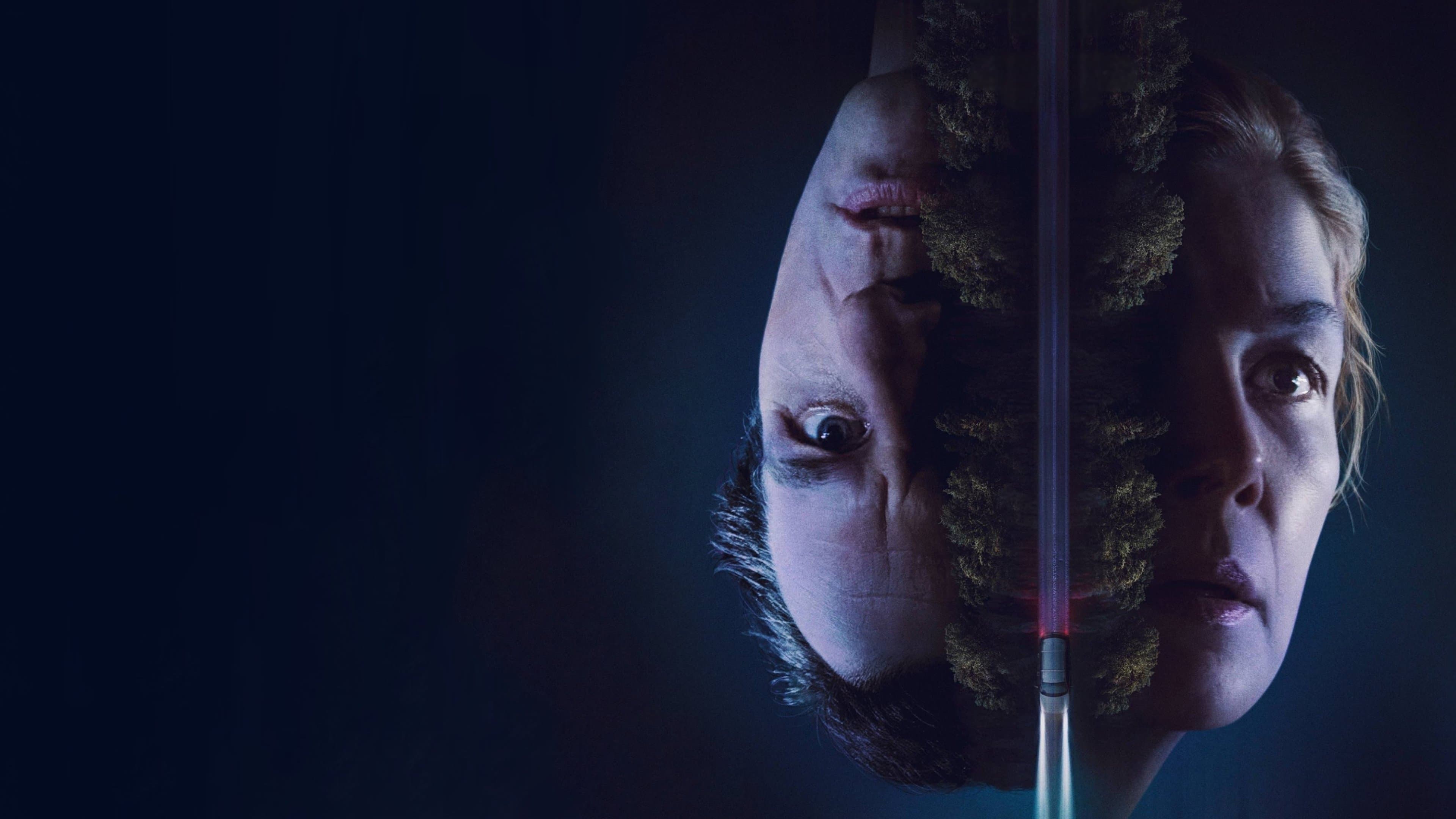 Cursă contra cronometru