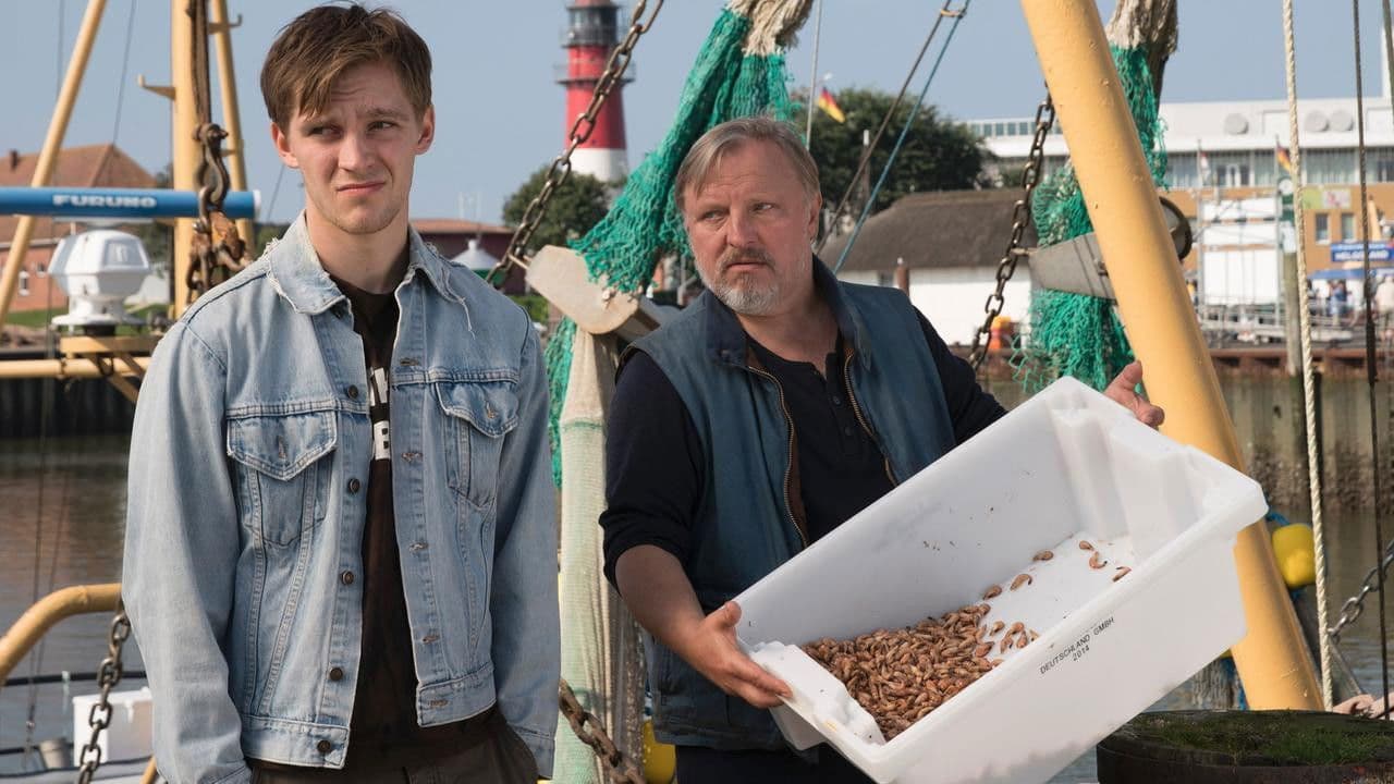 Vadder, Kutter, Sohn