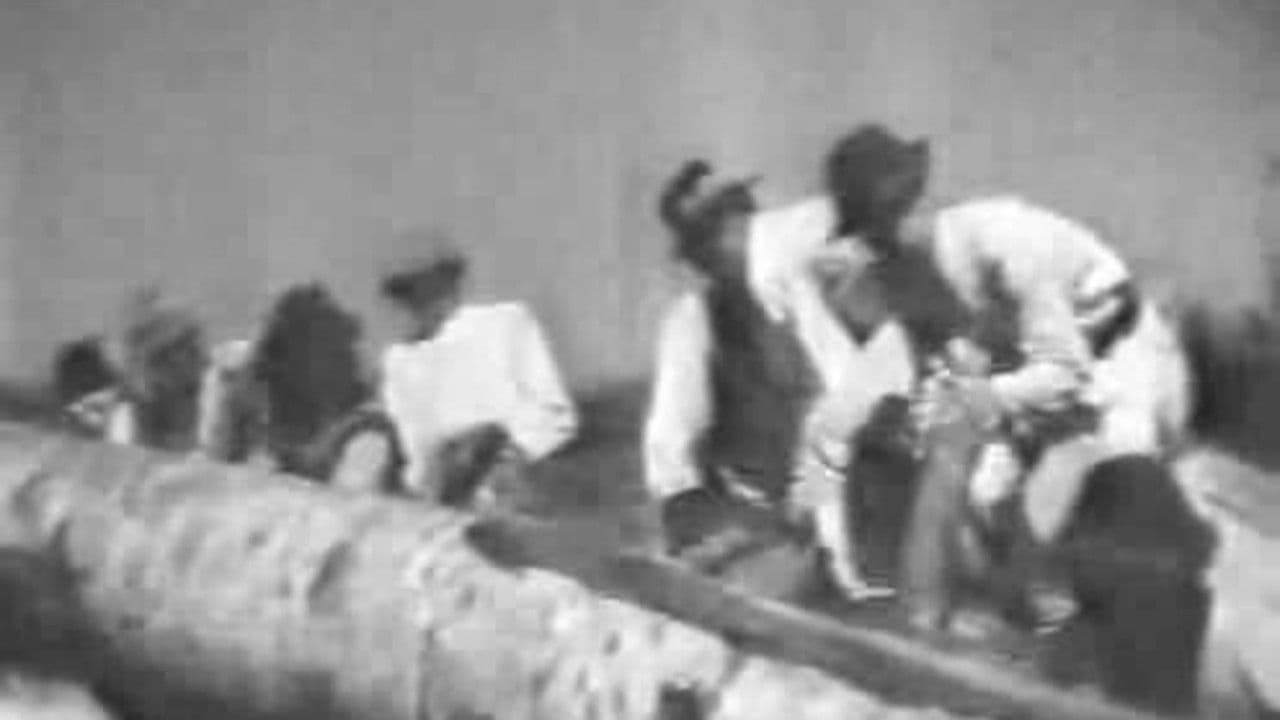 Буковина, земля українська