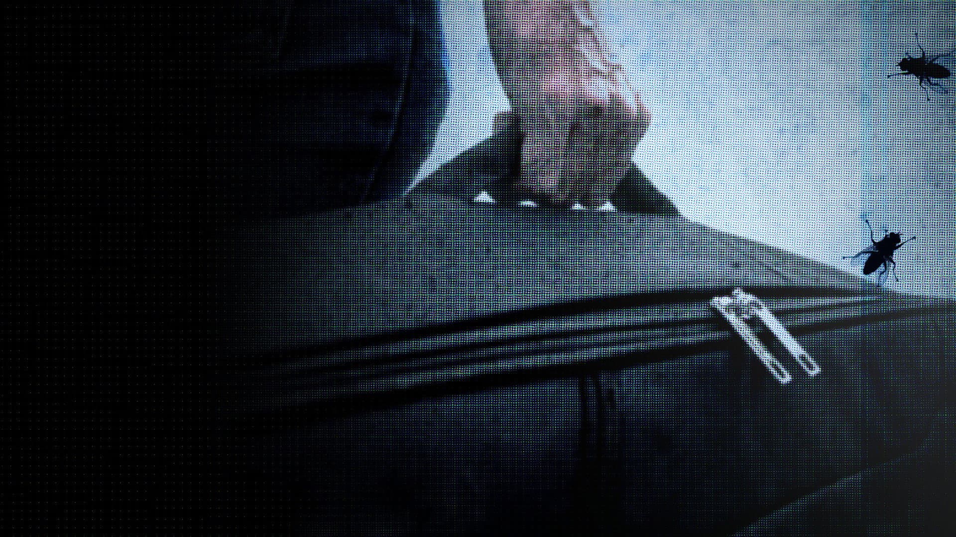The Suitcase Murders