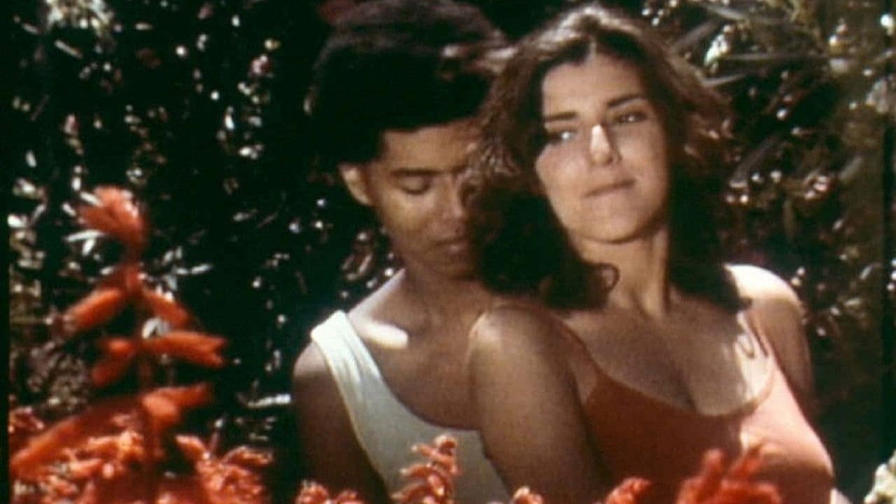 Mecanoscrit del segon origen