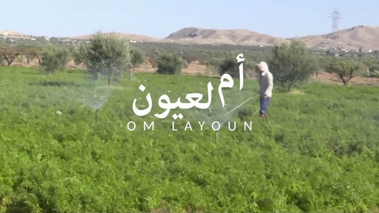 Om Layoun