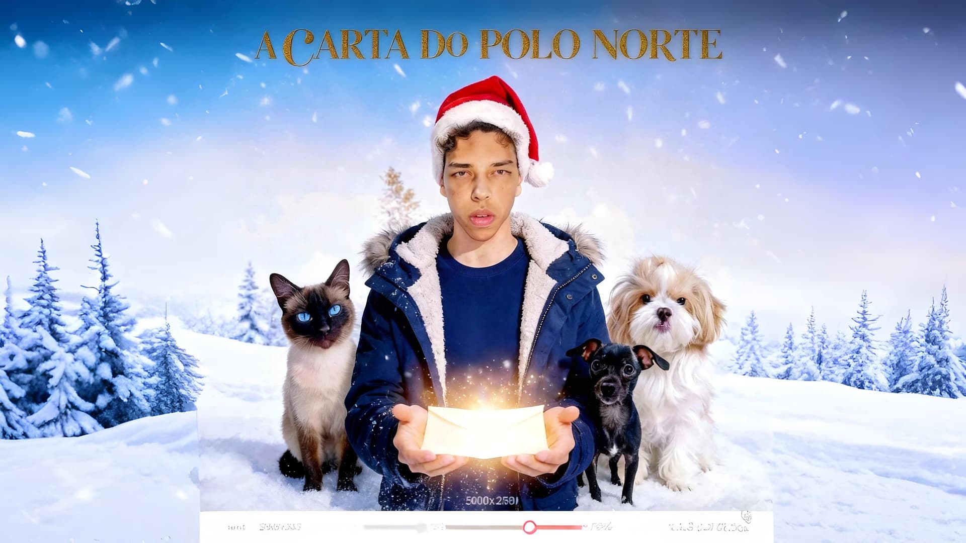 A Carta do Polo Norte