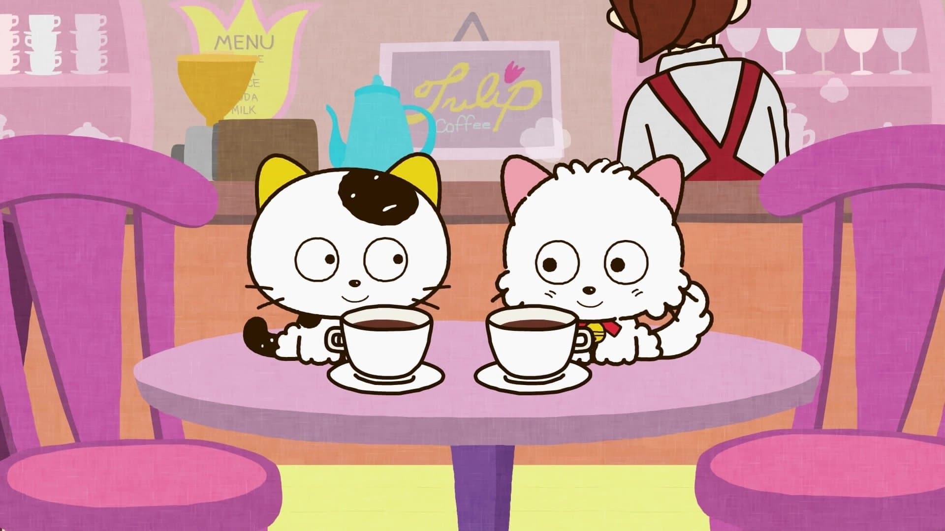 タマ&フレンズ うちのタマ知りませんか?